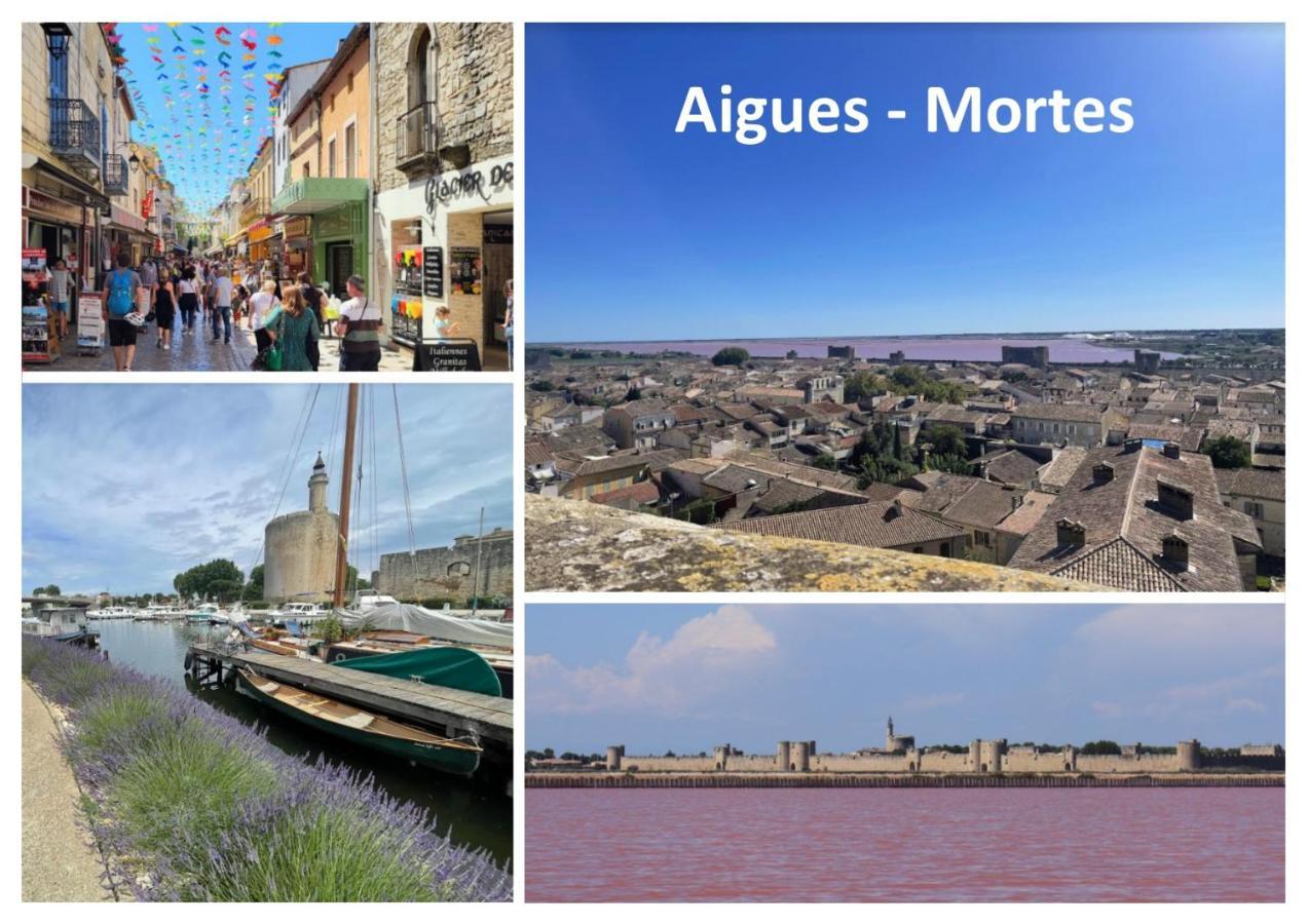 Le Mazet Sooksabai, Confort, Charme Et Decouverte En Petite Camargue Сен-Лоран-Д'Эгуз Экстерьер фото